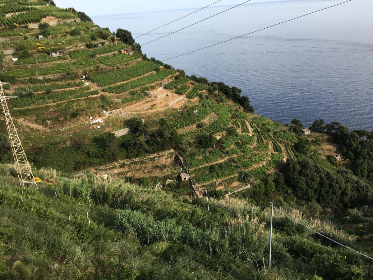 شقة Le Cinque Vele ***** Cinque Terre مونتيروسّو ال ماري المظهر الخارجي الصورة