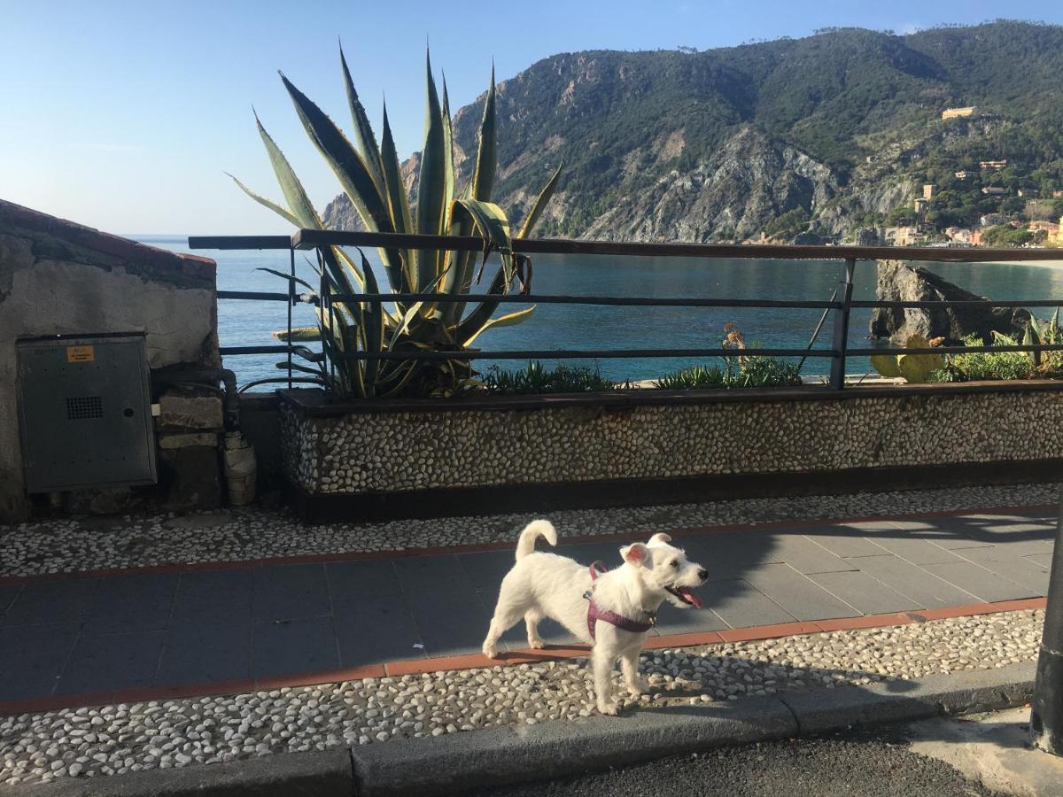 شقة Le Cinque Vele ***** Cinque Terre مونتيروسّو ال ماري المظهر الخارجي الصورة